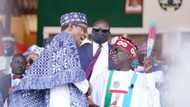 Tinubu reels out his plans, sends strong message to Atiku, Peter Obi as Buhari, Adamu, flag off APC campaign in Jos