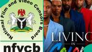 FG bans premiere of new movie ‘Living in Colors,' explains reason