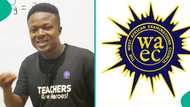 Maths teacher shares why he stopped marking WAEC scripts, mentions how much he was paid