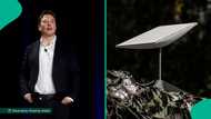 No more N167k: Elon Musk’s Starlink slashes subscription fee again