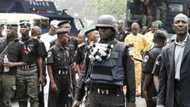 The whole truth: Police speak on alleged abduction of mobile officers in Borno