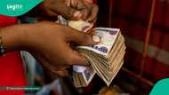 FG invites Nigerians to apply for N50k for their business, releases link