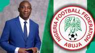 NFF creates two new leagues as Nigeria eyes African sports boom