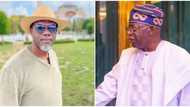 What Tinubu govt should do after fuel subsidy removal, Reno Omokri reveals