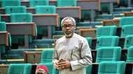 Why we want Gbajabiamila as speaker - House of Reps member