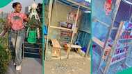 Mixed reactions as nail technician displays her small wooden shop, video goes viral on TikTok