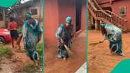 Nigerian bride sweeps in-laws’ compounds to fulfil tradition, video goes viral on TikTok