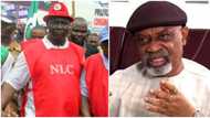 My immediate task is to resolve the implementation of new minimum wage - Ngige