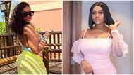 Davido you dey miss: Chioma stirs huge reactions online as she shares new photos showing off her banging body