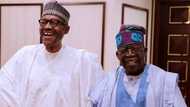 2023 elections: Poverty is APC’s biggest legacy by Phrank Shaibu