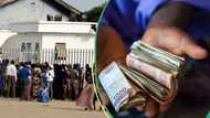 CBN may phase out old 200, 500, 1000 naira notes by December as cash scarcity returns in Kano, Borno