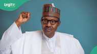 Buhari’s funeral: Rare video shows graveyard where ex-president was buried