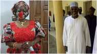 Lauretta Onochie: Ex-INEC chairman reacts to Buhari's aide's nomination as commissioner, tells Senate what to do