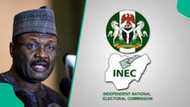 INEC announces new job vacancies for Nigerians nationwide, application link, and other details emerge