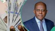 No more N1,251: Naira gains as CBN quotes new rate to sell dollar to BDCs