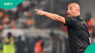 NFF intensify pursuit of Nigeria eligible goalkeeper after history making feat in England