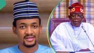 "I commend Tinubu": PDP chieftain reacts as Port Harcourt Refinery recommences operation
