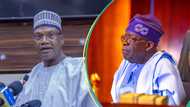 "Stop Mamman": APC bigwig sends strong message to Tinubu over ban on under 18 from taking WAEC, NECO