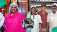 Aisha Buhari, other prominent Nigerian figures' appearances at welcome party in Spain elicit reactions