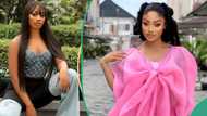 "Some of them swore they'd never go back to Big Brother": Christy O drags ex-housemates on All Stars season