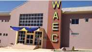 WASSCE 2023: Simple steps to check WAEC results through SMS, website