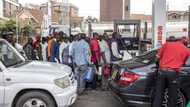 Depot owners cry out as Dangote Refinery crashes price, dominates market