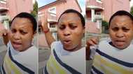 "Free house and N1.2 million salary": Lady living abroad shares open job opportunity for Nigerians, video trends
