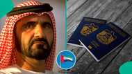 UAE lists 3 documents required for family residence visa, explains application process, permit fee
