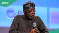 FG generates over $500m in investments in CNG, LPG, LNG incentives in 10 months