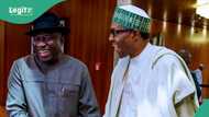 Buhari at 82: Jonathan extends heartfelt birthday wishes to ex-president, offers special prayer