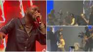 Imade steals the show at Davido's concert, waves to fans from the stage as her dad is forced to carry her away