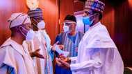 APC carries out massive shakeup, sacks party structures nationwide