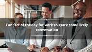 80+ fun facts of the day for work to spark some lively conversation