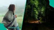 Perceived silence and emptiness signal danger in the human mind, By Adekunle Ayodele Olusola