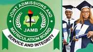 Cut off mark for medicine and surgery in Nigeria; admission requirements in different universities