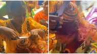Crazy hairstyle trend: Video of stylist making colourful look for customer goes viral