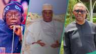 Presidency sends key message to PDP, LP, others, as Tinubu pilots Nigeria's affairs