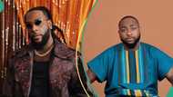 Burna Boy attacks Davido’s fanbase ahead of incoming album, issues curses: “Low IQ bingos”