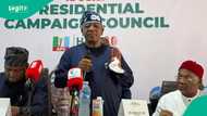 "Babu zagi": Yari ya fadi abin da za su tallata Shugaba Tinubu da shi