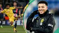 Karim Adeyemi celebrates as Dortmund qualifies for UCL final after 11 years, Sancho sings in video