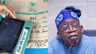 2023 elections: INEC blasts Tinubu over comment on e-transmission