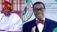 Nigeria emerges country with largest AfDB investment in Africa