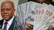 Good news for naira: CBN to sell dollar at retails auction, announces date