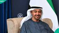 UAE lists 2 work permits designed for workers under 18, explains conditions