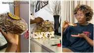 "The bread is 19k": Lagos lady orders expensive bread and turkey online, video sparks reactions on TikTok