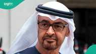 UAE announces urgent processing fee for multiple-entry visa, mentions duration