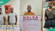 NDLEA narrates how 2 Brazil returnees excreted 116 wraps of illicit drugs in custody