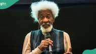 "How the Nobel Prize exposed me to dangers": "Wole Soyinka opens up