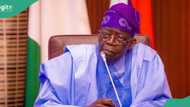 Tinubu gave N100m to national assembly members as palliatives? House of reps react