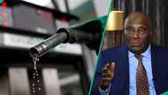 N1,400/per litre: Atiku reacts to FG’s petrol price in Nigeria comparison with US